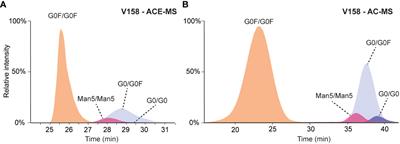 Benchmarking glycoform-resolved affinity separation – mass spectrometry assays for studying FcγRIIIa binding